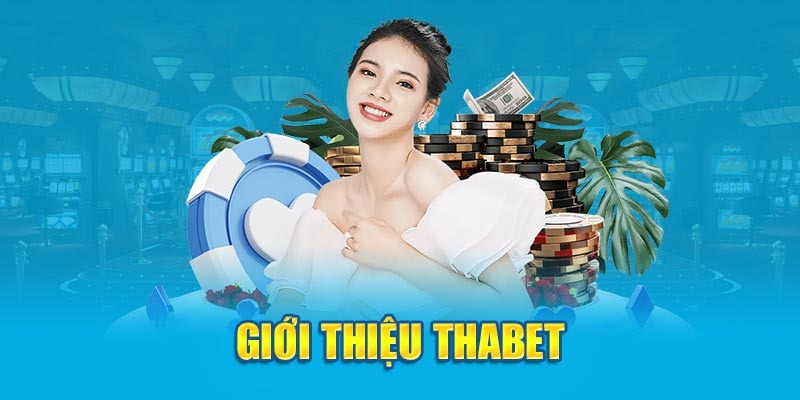 Anh em biết những thông tin gì về hệ thống nhà cái